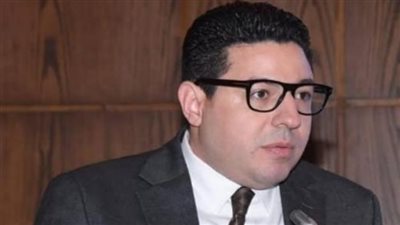 الدكتور أحمد أبو الغيط    