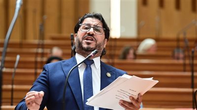 أحمد بلال البرلسي    
