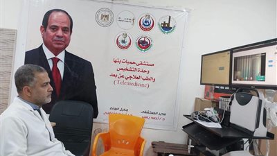 القليوبية     