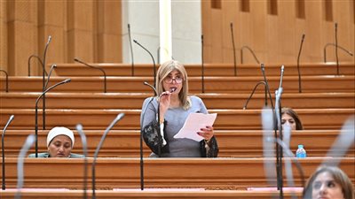 النائبة أميرة فؤاد     