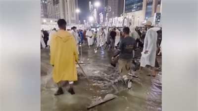 سيول مكة    