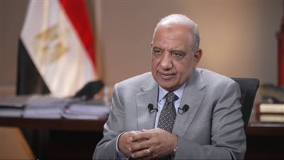 الدكتور محمود عصمت، وزير الكهرباء    