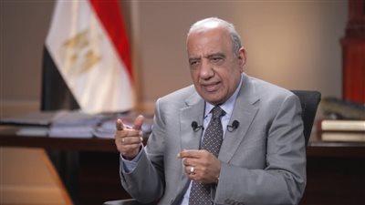 الدكتور محمود عصمت، وزير الكهرباء    