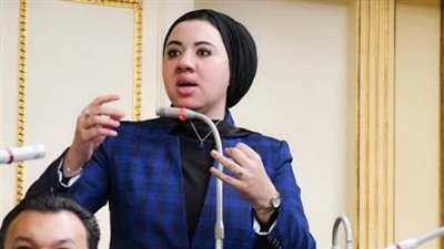 النائبة أميرة صابر    