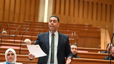 النائب أحمد فرغلي    
