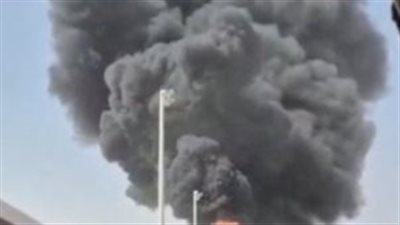 مصر وباكستان وتركيا تدين الهجمات الحوثية وتطالب بوقفها فورًا    