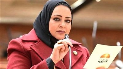 النائبة أماني أبو سحلي    