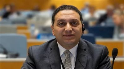 المستشار محمد عادل    