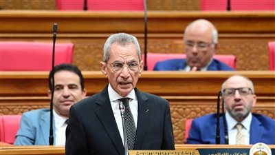 وزير شؤون المجالس النيابية    